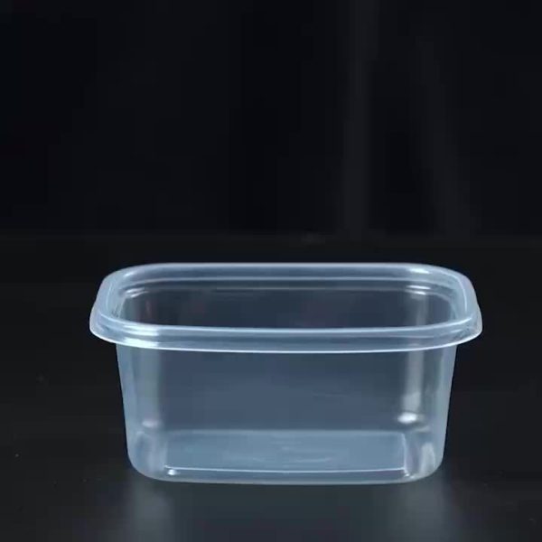 10-Piece Reusable Food Storage Container Set with Leakproof Lids – BPA-Free Meal Prep Boxes for Kitchen, Office, School & Picnics - Image 8